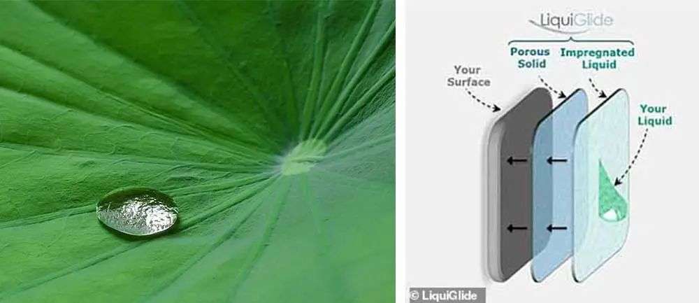 再也不用「擠牙膏」,高露潔換上的「潤(rùn)滑劑」包裝,讓牙膏從此一滴不剩 再也不用「擠牙膏」,高露潔換上的「潤(rùn)滑劑」包裝,讓牙膏從此一滴不剩